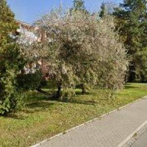 obrazek: avatar UNZEITIGOVÁ LUDMILA