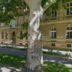 obrazek: avatar NEHEROVÁ JARMILA