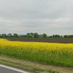 obrazek: avatar CANEA CZ s.r.o.