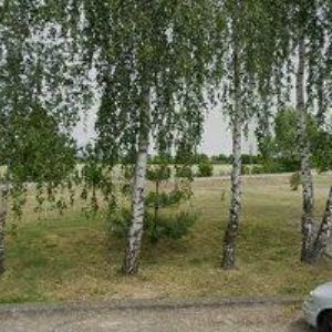 obrazek: avatar ELEKTRO NETESAL