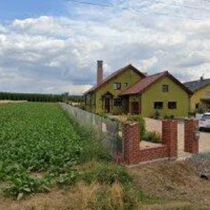 obrazek: avatar ELPEVO