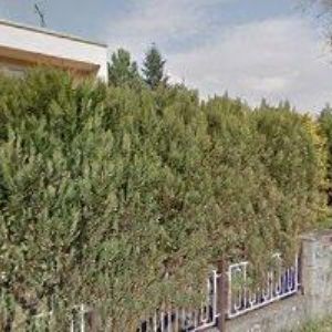 obrazek: avatar SALON MIERVA