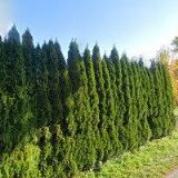 URBÁŠEK MILAN-ELEKTRO