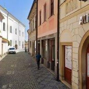 obrazek: avatar VOJTĚŠKOVÁ LUCIE