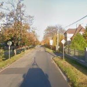 obrazek: avatar ANI MODISTVÍ