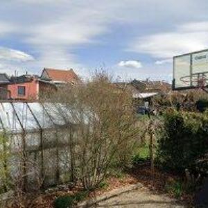 obrazek: avatar GRUND RADOMIL