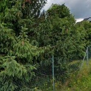 obrazek: avatar BENEŠ SÁDROKARTON