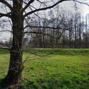 obrazek: avatar REELGATE s.r.o.