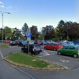 obrazek: avatar DITTRICHOVÁ DOMINIKA