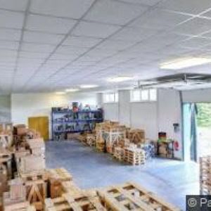 obrazek: avatar KUSÝ PAVEL-KEM