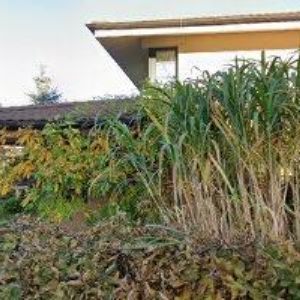 obrazek: avatar ŠTUBŇA TOMÁŠ Bc.