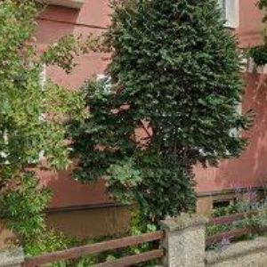 obrazek: avatar ELEKTROSERVIS MAJNUŠ s.r.o.