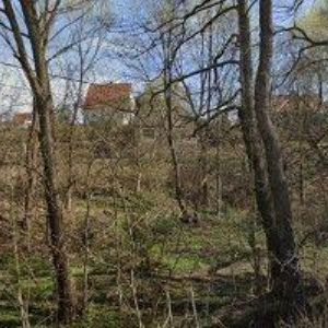 obrazek: avatar SKALICKÝ PAVEL