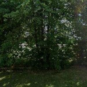 obrazek: avatar MR PŮJČOVNA