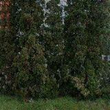 ČEZ ENERGETICKÉ SLUŽBY, s.r.o.