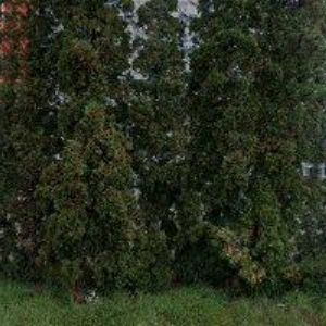 obrazek: avatar ČEZ ENERGETICKÉ SLUŽBY, s.r.o.