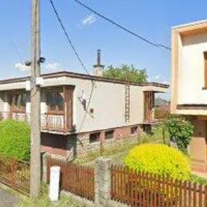 obrazek: avatar PALMY A ZAHRADY s.r.o.