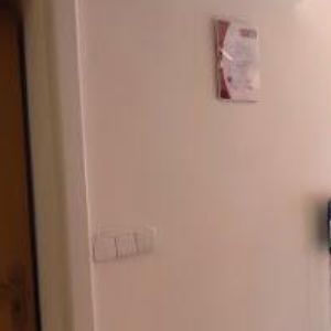 obrazek: avatar ALFA TEX1