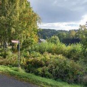 obrazek: avatar TRÁVNÍČEK DUŠAN-LOJZO