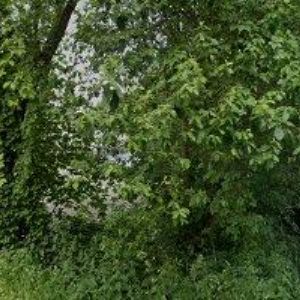 obrazek: avatar AMR SERVIS s.r.o.