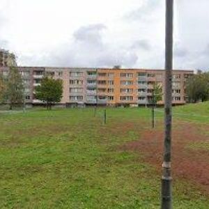 obrazek: avatar RADOVÁ HANA-SARA