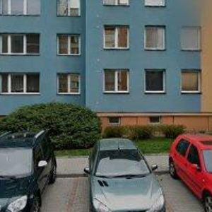 obrazek: avatar ALBRECHTOVÁ ZUZANA