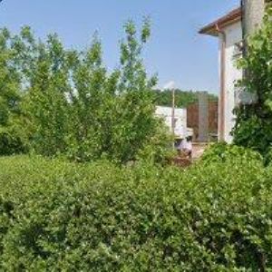 obrazek: avatar SVATEBNÍ SALÓN MIRAEL