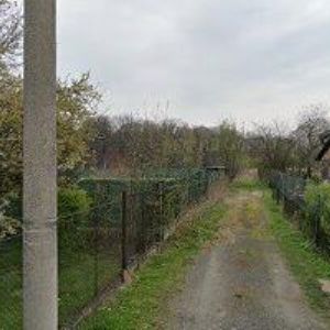 obrazek: avatar SD STYL