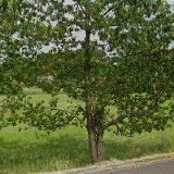 LAMP LIGHTING TECHNOLOGY s.r.o.