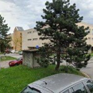 obrazek: avatar SMUDA PETR