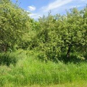 obrazek: avatar TEXOR spol. s r.o.