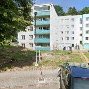 obrazek: avatar MŘIHLADOVÁ ŠÁRKA