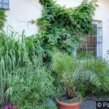 SMART LED LIGHTING s.r.o.