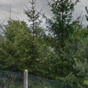 obrazek: avatar ADVANCE BASE s.r.o.