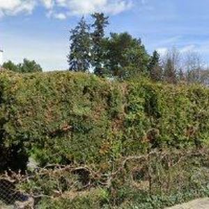 obrazek: avatar PARIOL, s.r.o.