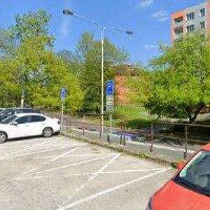 obrazek: avatar LÉČITELKA-DANA HOLUBKOVÁ