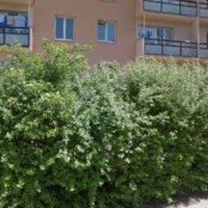 obrazek: avatar RUDEL JIŘÍ