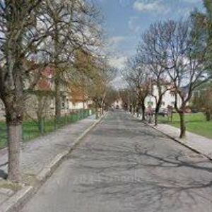 obrazek: avatar KONVIČNÁ ALENA