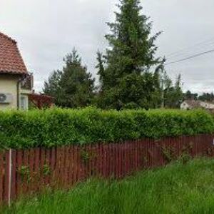 obrazek: avatar SABOR STYLE s.r.o.