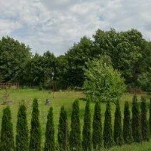 obrazek: avatar KLIMŠA JAROSLAV