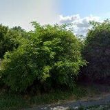 ALPRESS spol. s r.o.