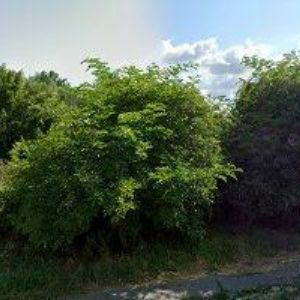 obrazek: avatar ALPRESS spol. s r.o.