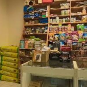 obrazek: avatar KRMIVAKOMINEK.CZ