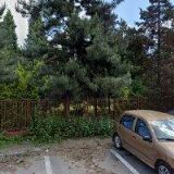 KONDZIOLKOVÁ VERONIKA-BARICO