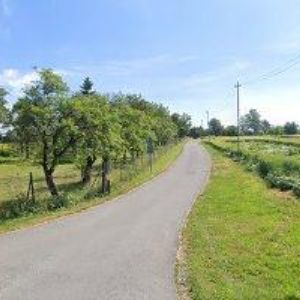 obrazek: avatar HANZELKA PAVEL