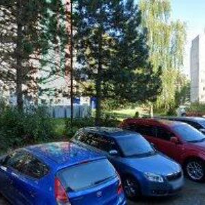 obrazek: avatar ŠEVČÍK LUKÁŠ