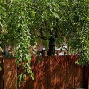 obrazek: avatar AGROMYSL-CZ, spol. s r.o.