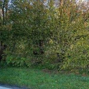 obrazek: avatar SG-VET, s.r.o.