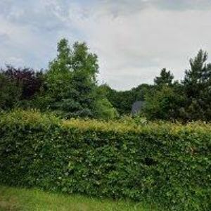 obrazek: avatar RYJA OBOJKY s.r.o.