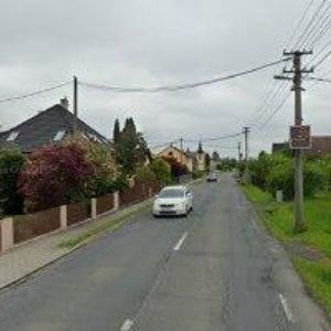 obrazek: avatar PREMIUM CORALS